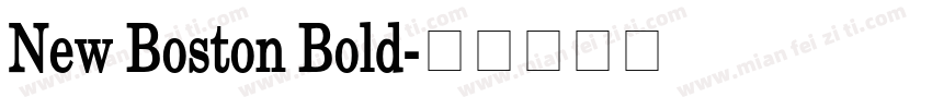 New Boston Bold字体转换